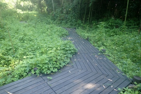 森林環境譲与税、デッキ木道