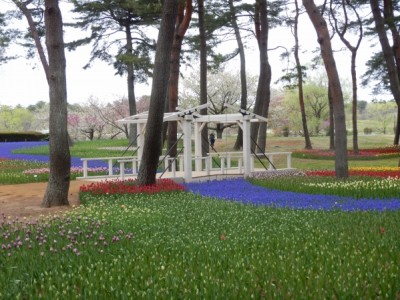 跳ね橋、木製デッキ