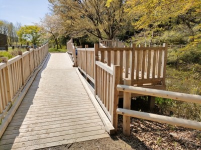 木製デッキ、ウッドデッキ