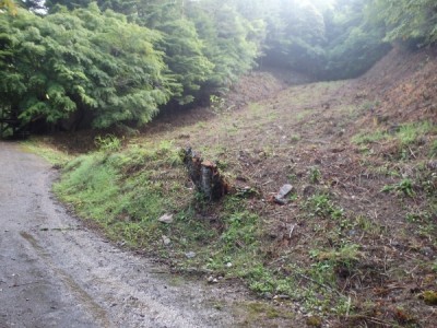 森林環境譲与税、木製遊具