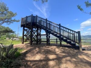 木製展望デッキ